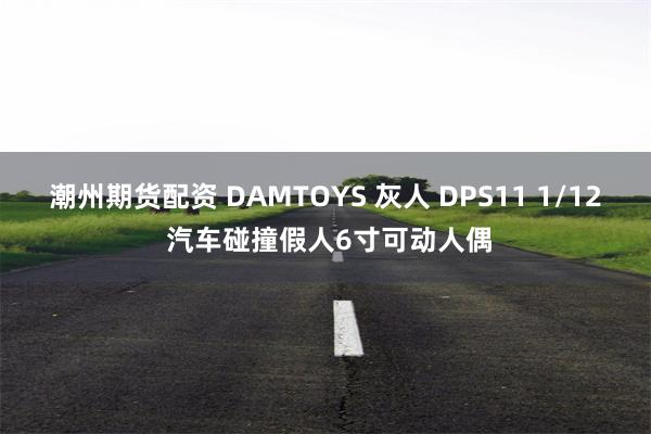 潮州期货配资 DAMTOYS 灰人 DPS11 1/12 汽