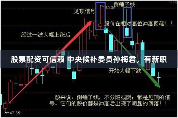 股票配资可信赖 中央候补委员孙梅君，有新职