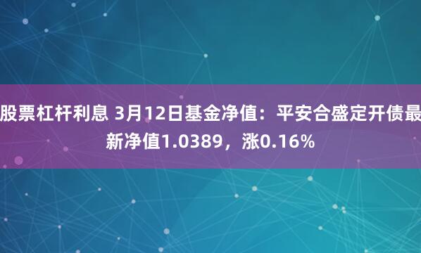 股票杠杆利息 3月12日基金净值：平安合盛定开债最新净值1.0389，涨0.16%