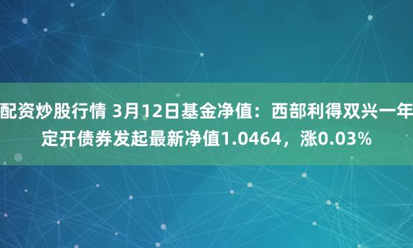 配资炒股行情 3月12日基金净值：西部利得双兴一年定开债券发起最新净值1.0464，涨0.03%