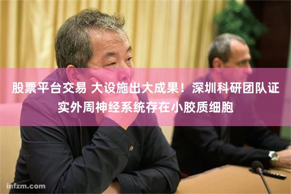 股票平台交易 大设施出大成果！深圳科研团队证实外周神经系统存在小胶质细胞